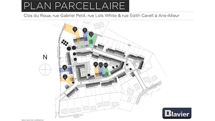 Plan parcellaire satellite intitulé 