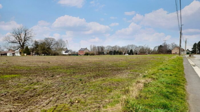 Un paysage rural présente un grand champ herbeux bordé d'une rangée d'arbres et de maisons résidentielles au loin. Un ciel bleu clair parsemé de nuages blancs flotte au-dessus. Une route pavée longe le côté droit de l'image.