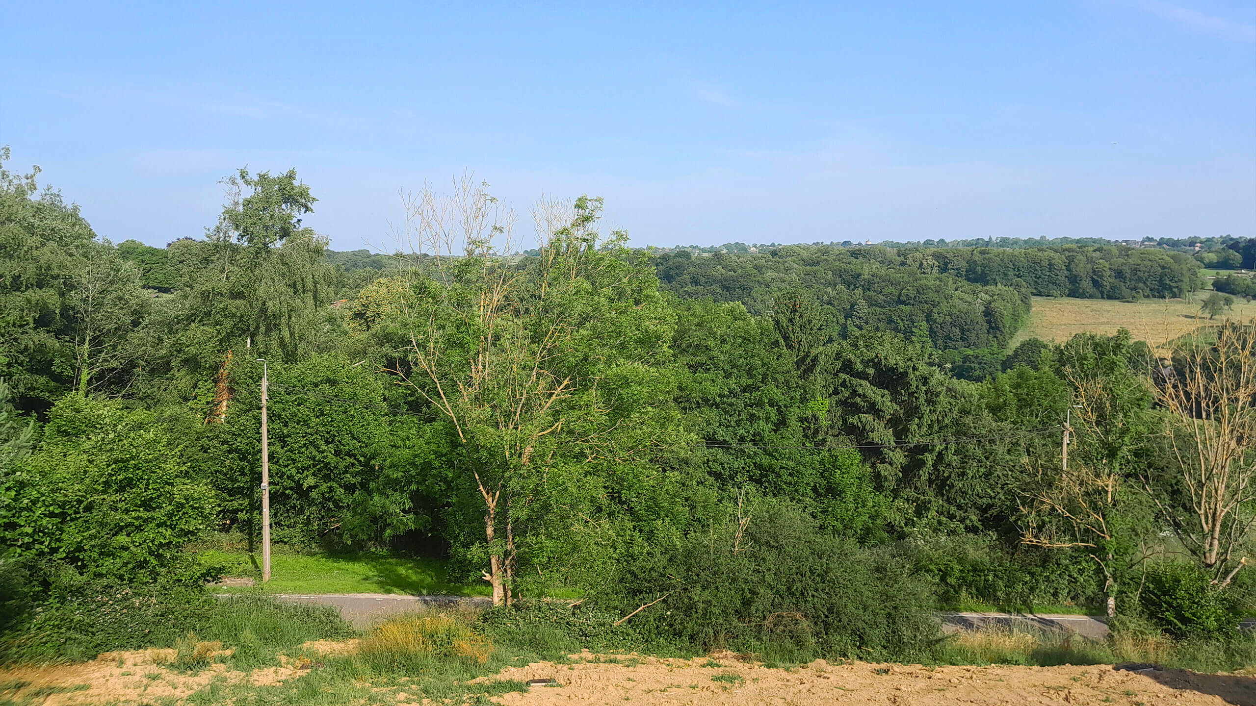 Une vue panoramique d'un paysage verdoyant avec divers arbres, une route étroite et des collines ondulantes en arrière-plan sous un ciel bleu clair.